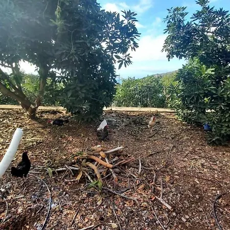 La Resbala - Casa Drago La Orotava