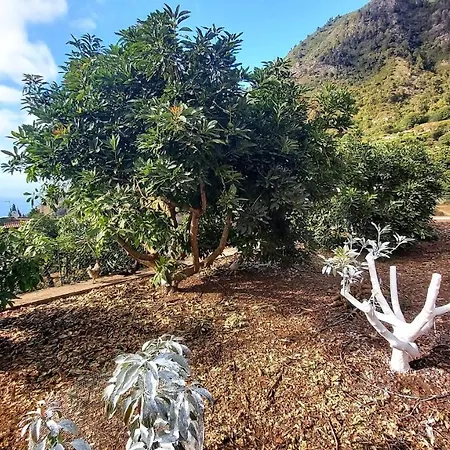 Casa Rural La Resbala - Casa Drago Hébergement de vacances La Orotava