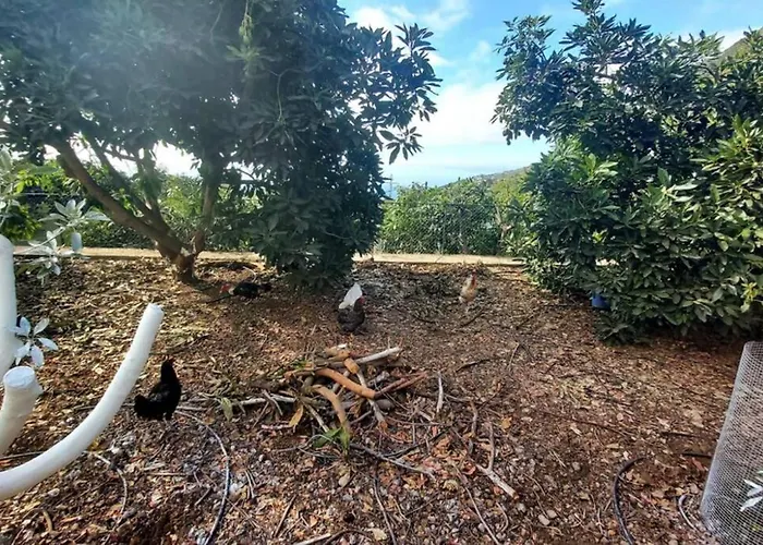 La Resbala - Casa Drago 拉奥罗塔瓦